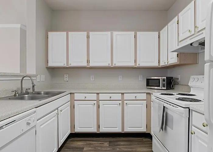 Apartment Landing Modern With Amazing Amenities